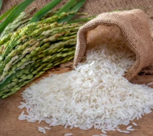 1121 White Rice