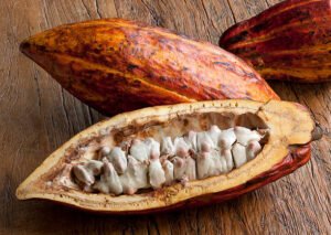 Cocoa Bean