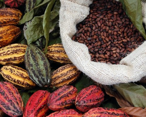 cocoa-exporter
